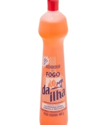 Imagem de capa de Alcool Gel Da Ilha 12 X 480g 80,0 Acendedor