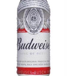 Imagem de capa de Cerveja Budweiser 12 X 350ml Lata