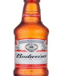 Imagem de capa de Cerveja Budweiser 24 X 330ml Long Neck