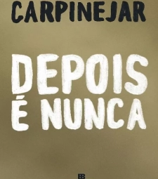 Imagem de capa de Livro Depois É Nunca