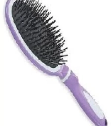 Imagem de capa de M. Escova De Cabelo Corpus Raquete Oval