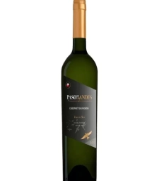 Imagem de capa de M. Vinho Tinto Paso De Los Andes 750ml Cabernet Sauvignon