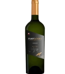 Imagem de capa de M. Vinho Tinto Paso De Los Andes 750ml Carmenere