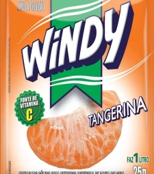 Imagem de capa de Refr. Windy 15 X 25g Tangerina Display